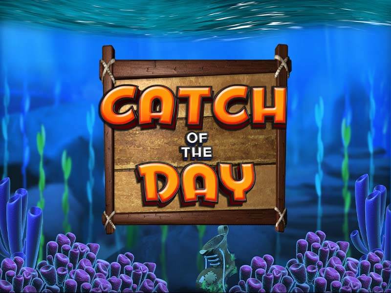 luva bet Catch of the Day